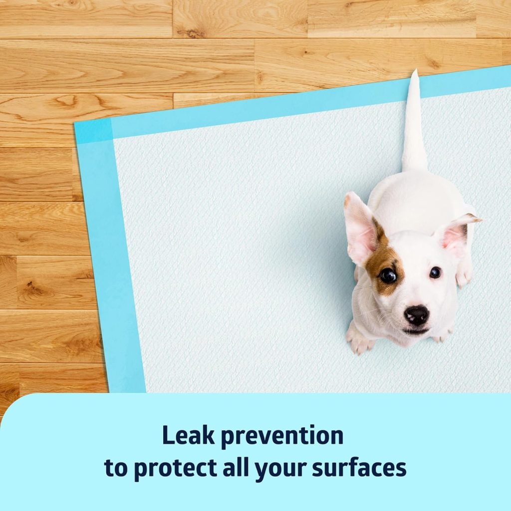 Medline Light Absorbency Underpad, 17 x 24, 100 Count, Disposable Chucks, Bed, Furniture Surface Protection, For Kids, Adults, Elderly, Puppy Pad, Changing Pad, Incontinence Pee Pad Medline Light Absorbency Underpad, 17 x 24, 100 Count, Disposable Chucks, Bed, Furniture Surface Protection, For Kids, Adults, Elderly, Puppy Pad, Changing Pad, Incontinence Pee Pad