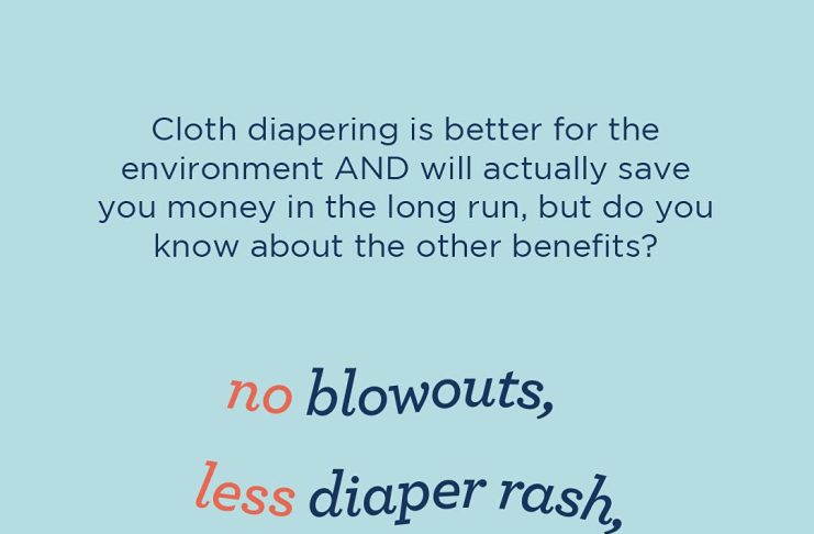 Esembly Cloth Diaper Inner – Organic Cotton, 3-Pack, Size 1 (7-17lbs) review Esembly Cloth Diaper Inner - Organic Cotton, 3-Pack, Size (7-17lbs)